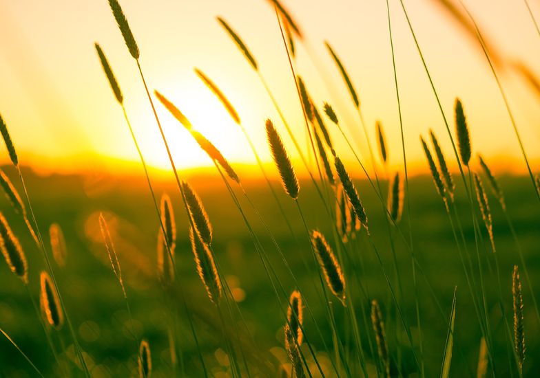 Immagine evento Quattro passi in compagnia