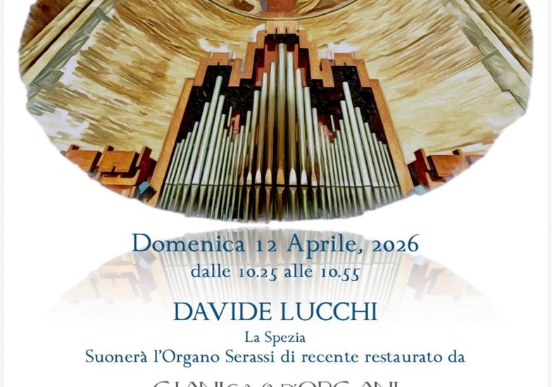 Immagine evento Concerto d'organo