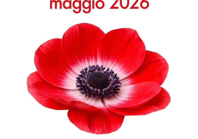 Immagine evento Lodi in fiore