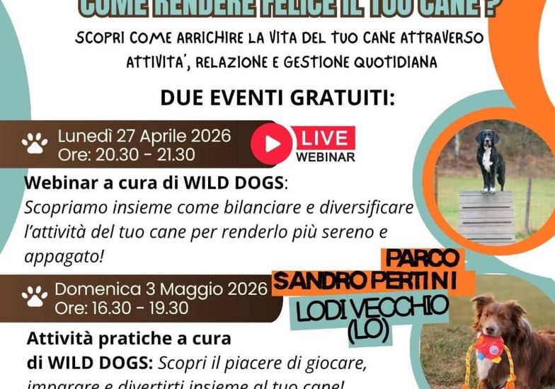 Immagine evento Oltre la passeggiata