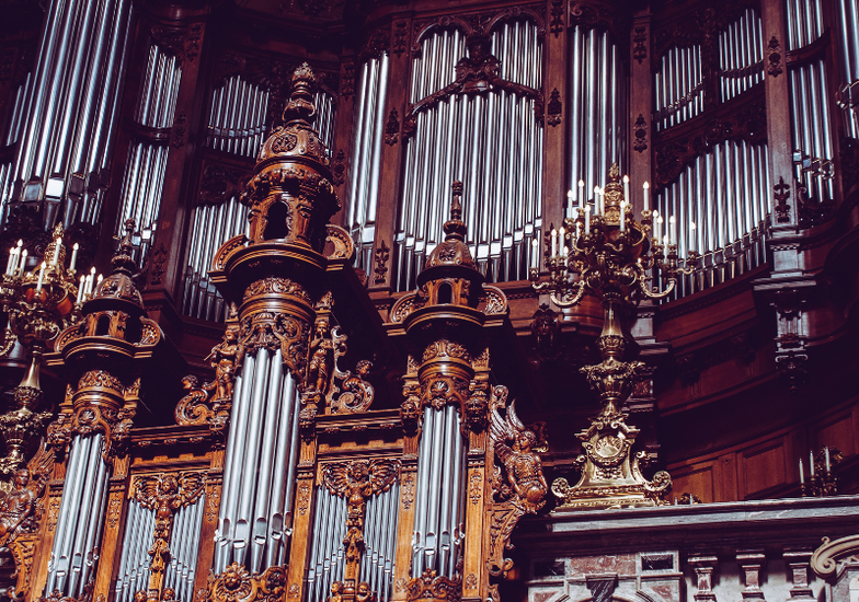 Immagine evento Nuovo concerto della rassegna Vox organi
