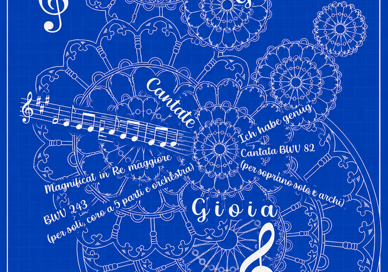 Immagine evento Concerto in cattedrale