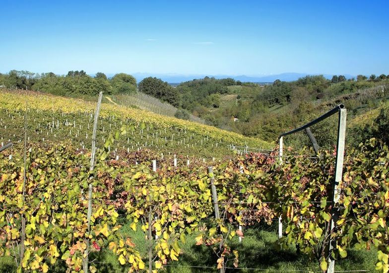 Immagine evento I colori della collina d'autunno
